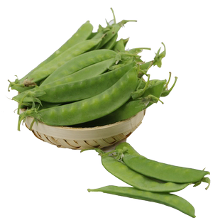 安心优选 新鲜荷兰豆250g 甜脆青豌豆荚 新鲜现摘豌豆角 农家豌豆