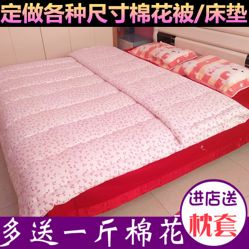 保暖加厚学生单双人冬被芯