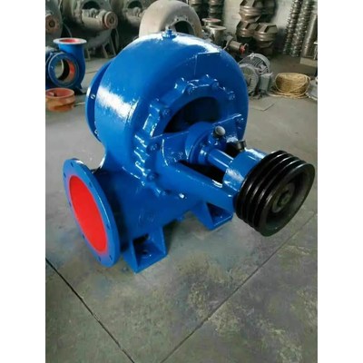 150HW-5/150HW-8/200HW-5灌溉大型抽水机排涝泵浇地蜗牛水泵农用