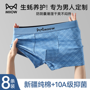 猫人男士内裤纯棉男款生蚝唤醒野兽2025新款抗菌四角平角短裤大码