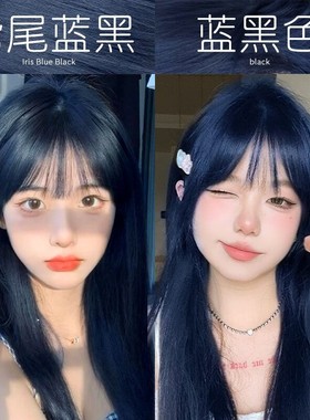 文哥发品鸢尾蓝黑染发剂膏雾霾蓝灰色染头发膏植物黑蓝色正品女纯