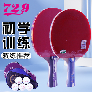 正品 友谊729金1星1020炫彩乒乓球拍专业级学生初学者训练球拍清仓