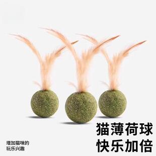 Cat Toy Mint Teasing Stick Soothing Tool