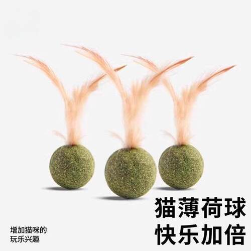 Cat Toy Mint Teasing Stick Soothing Tool