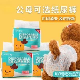 跨境 Colorful Fun Female Dog Physiological Pants