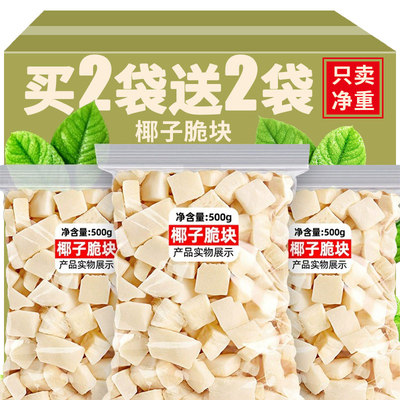 椰子脆块零食椰子片海南特产小吃