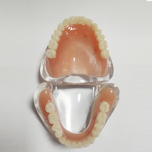 口腔全口义齿模型吸附牙齿模型牙科教学医患沟通模型模型性