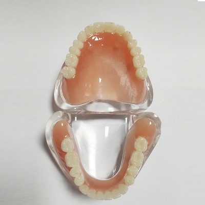 口腔全口义齿模型吸附牙齿模型牙科教学医患沟通模型模型性