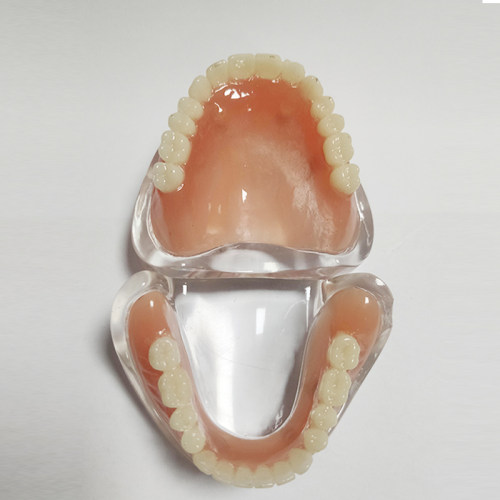 口腔全口义齿模型吸附牙齿模型牙科教学医患沟通模型模型性