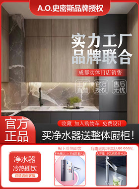 ao橱下橱柜史密斯现代简约