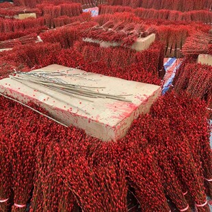 银柳七彩柳基地直发年宵花真花鲜枝60公分,四川成都发货量大从优