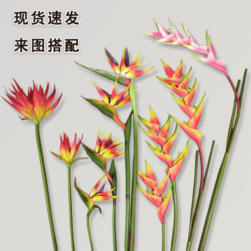 天堂鸟仿真花单支鹤望兰假花家居婚庆摄影装饰插花天堂鸟仿真绿植