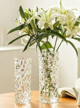 欧式水晶玻璃花瓶  鲜花富贵竹插花瓶 水培花器客厅装饰家居摆件