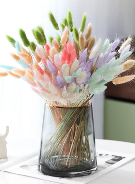 ins网红小花束家居客厅北欧装饰摆件干枝插花兔尾草狗尾巴草干花