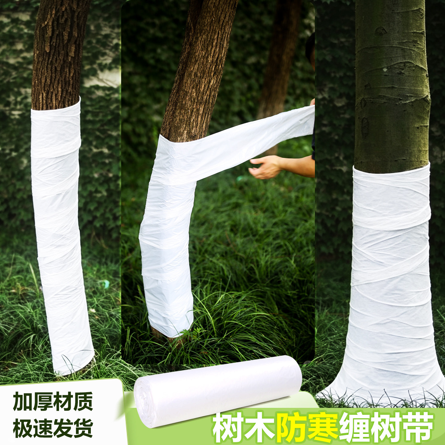 裹树布缠绕树木保温保湿带