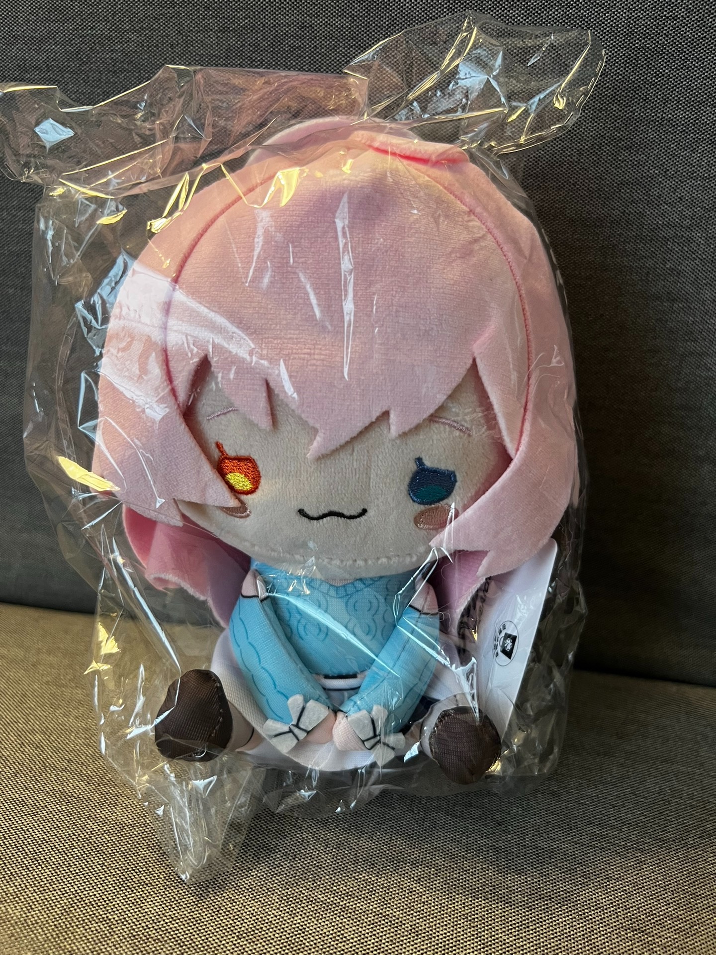 Blue Archive Merch - China Exclusive - China Exclusive Anime Merch