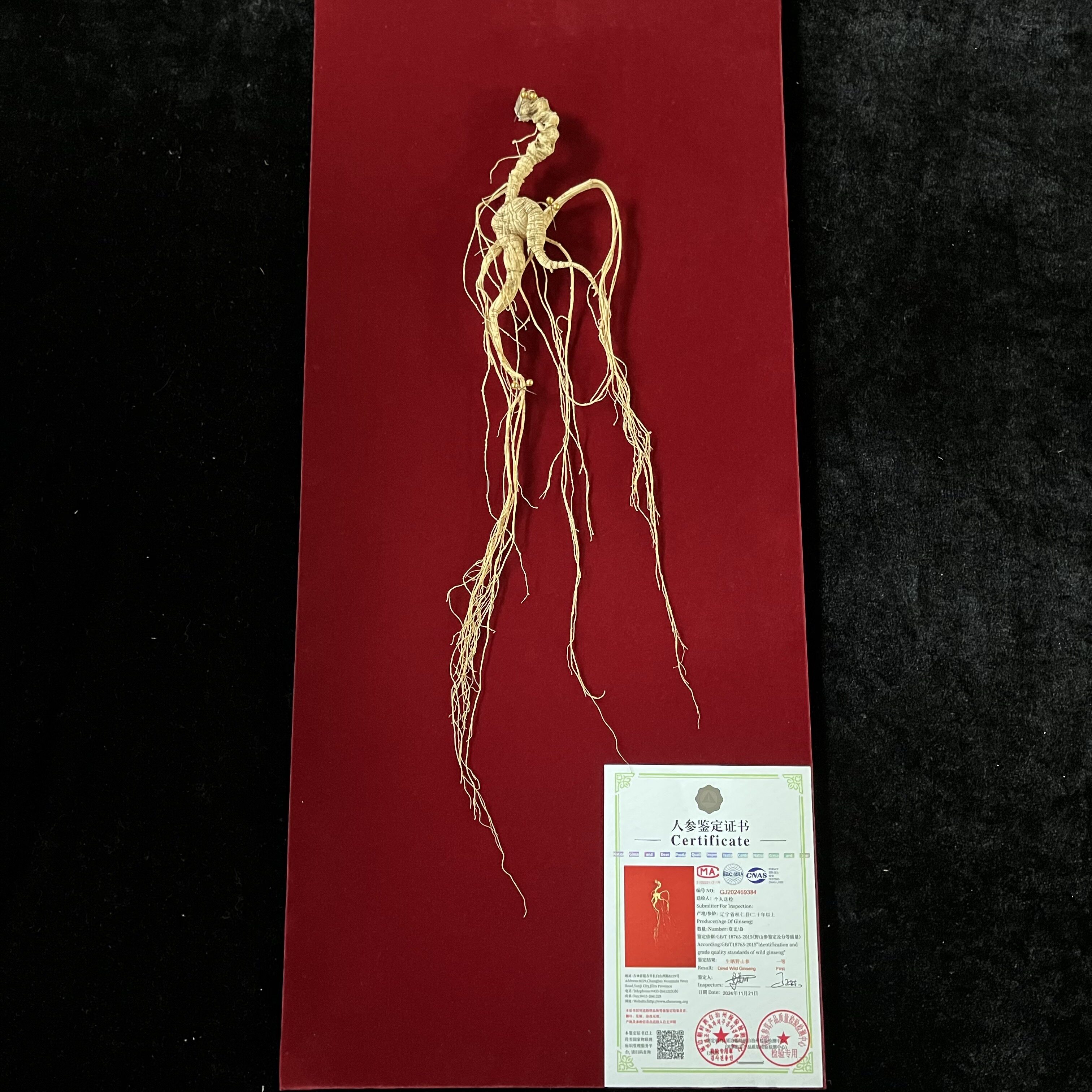 东北人参长白山国检一等野山参正品人参礼盒送礼泡酒