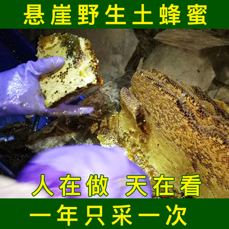 土蜂巢蜜纯天然野生秦岭农家自产圆木桶崖蜜百花蜂巢蜜嚼着吃500g