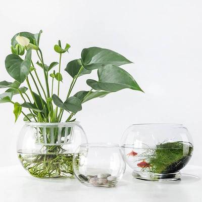 创意扁口玻璃鱼缸椭圆形 高白透明玻璃金鱼缸迷你水族箱小型桌面