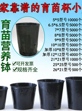 槟榔苗杯营养钵营养杯塑料育苗桶种植袋营养袋育苗袋黑色厚育苗盆
