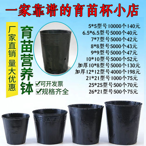 槟榔苗杯营养钵育苗桶黑色育苗盆