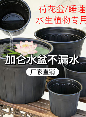 黑色加厚无孔黑加仑盆不漏水营养杯荷花盆睡莲盆水培盆大号碗莲盆