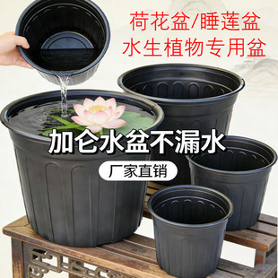 黑色加厚无孔黑加仑盆不漏水营养杯荷花盆睡莲盆水培盆大号碗莲盆