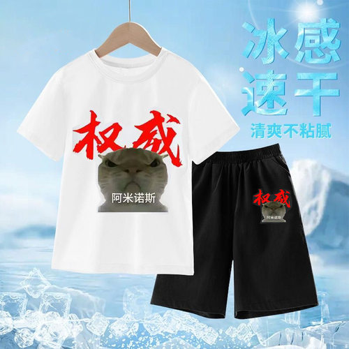 权威阿米诺斯夏季爆款202