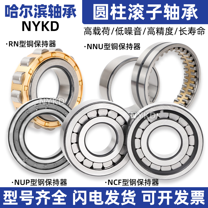 哈尔滨圆柱滚子轴承RN203EM