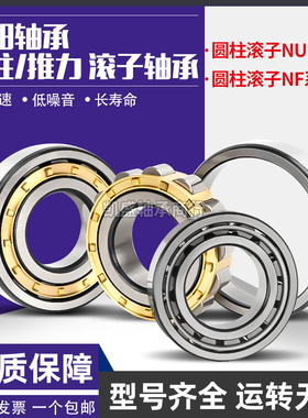 洛阳NYKD圆柱滚子轴承 RN 2217 2218 2219 2220 2222 2224 2226EM