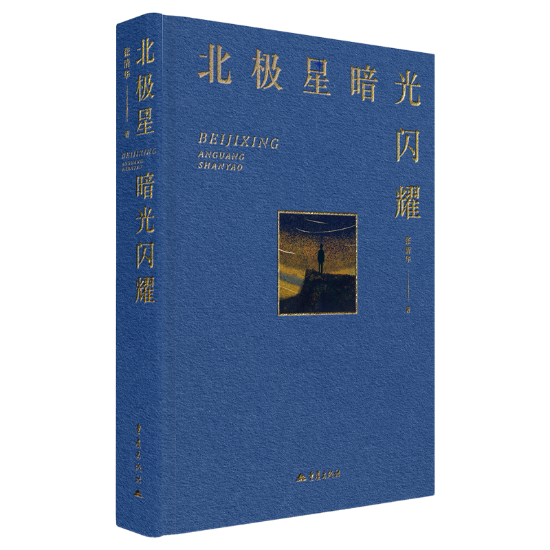 正版 北极星暗光闪耀 张清华著现代/当代文学
