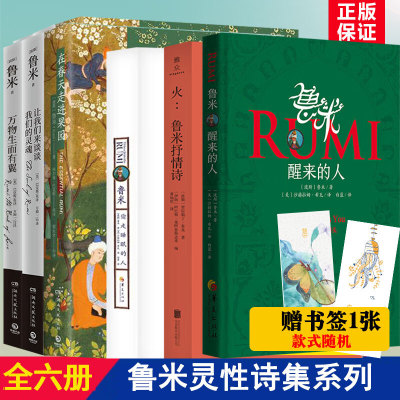 正版6册】鲁米诗集6册全套睡醒的