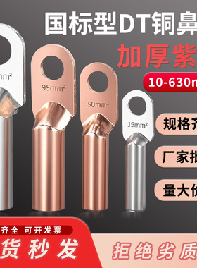 DT铜鼻子接线端子纯铜线耳16/25/35/50/70/95/120/185/240300平方
