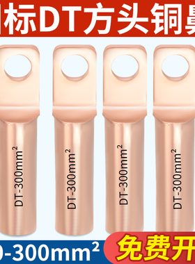 国标DTF方头铜鼻子紫铜线耳塑壳断路器光伏接线端子DTF10-300平方