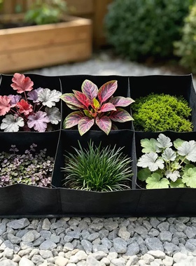 无纺布多格蔬菜花卉种植袋