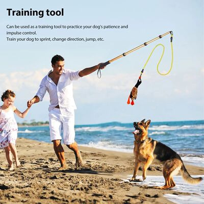irt Pole Toy Dog Extendable Teaser Wand for Exercising Train