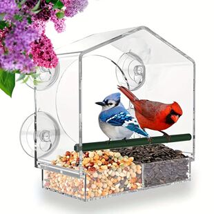Acrylic Birdhouse Clear Glass Window Hanging Birds Squirrel