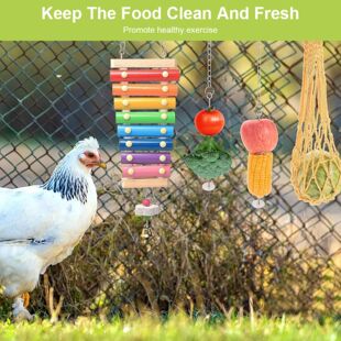 7PCS Chicken Toy Set with Wooden Hanging Feeder Hanging
