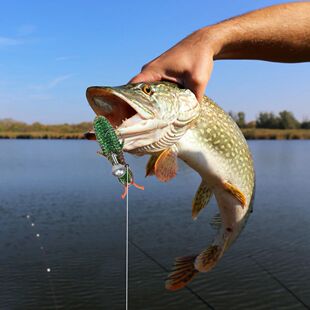 10Pcs Soft Fishing Lures 60mm 7g Potato Lure Slow Sinking