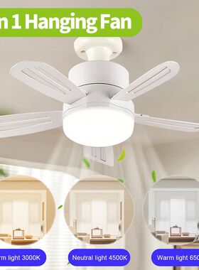 2 In 1 LED Ceiling Fan Light Ceiling Fan Lamp E27 with