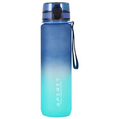Frosted Water Bottle Leakproof Fitness Sports Water Bottle
