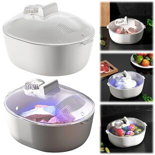 4 in 1 Defrosting Tray Keeps Food Nutritious Physical