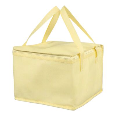 Food Pizza Delivery Insulated Bag Reusable Camping Warmer