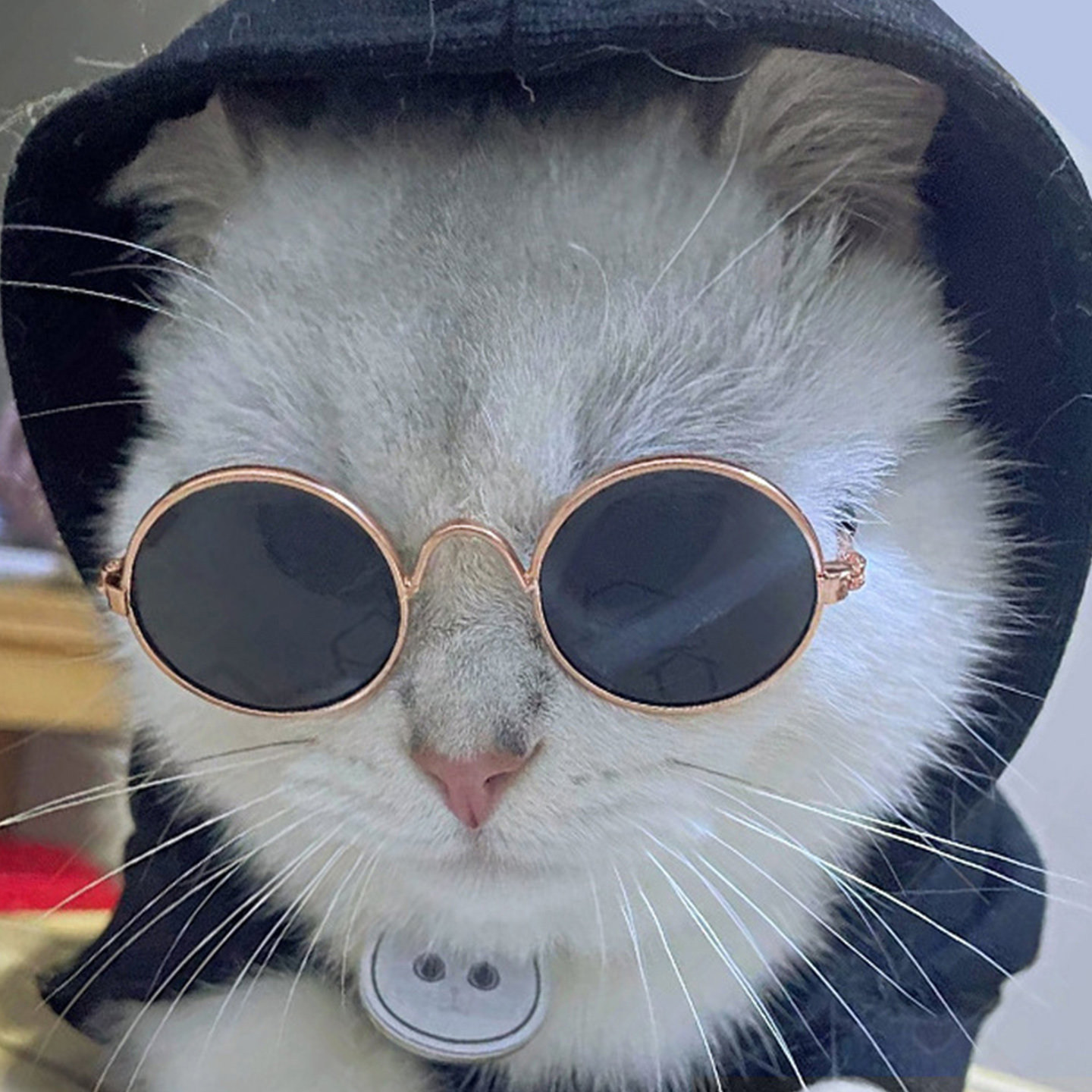 宠物猫眼镜复古耍酷狗眼镜娃娃拍照道具猫狗搞怪墨镜饰品中型法斗