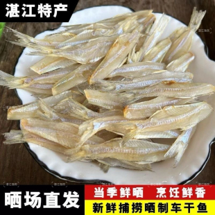 湛江特产新鲜纯淡干车公仔鱼仔百丽鱼仔整箱商用香辣鱼仔淡晒白饭