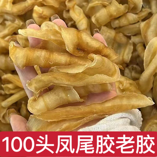 100头凤尾胶红鱼胶花胶奶冻海味干货炖奶煲汤孕妇滋鲜炖商用