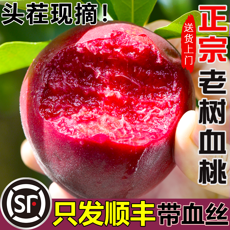 顺丰正宗老树血桃新鲜桃子5斤脆甜红肉当季头茬现摘红心水密毛桃