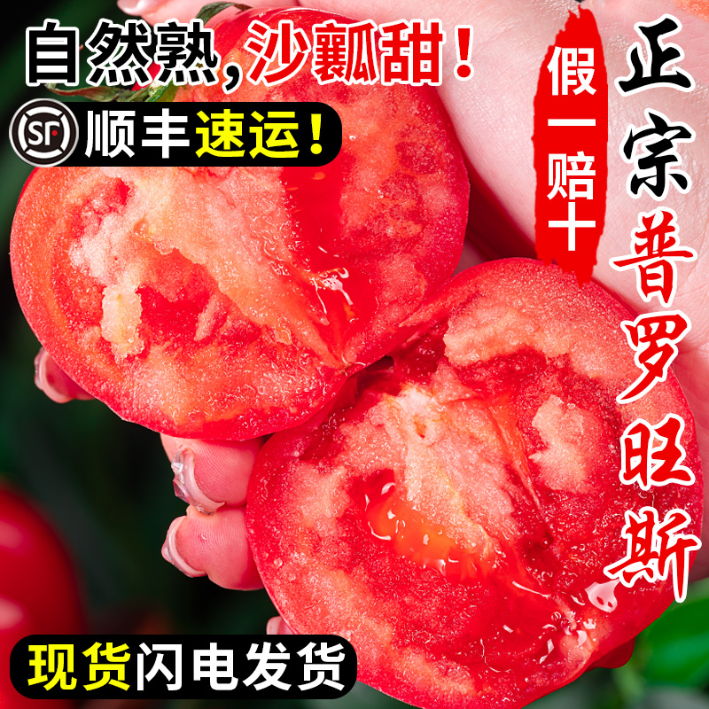 陕西泾阳普罗旺斯沙瓤西红柿新鲜自然熟当季水果番茄蔬菜带箱5斤