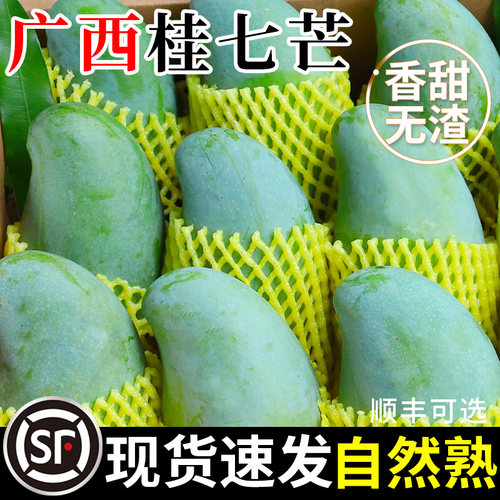 【热销推荐】正宗广西百色桂七芒