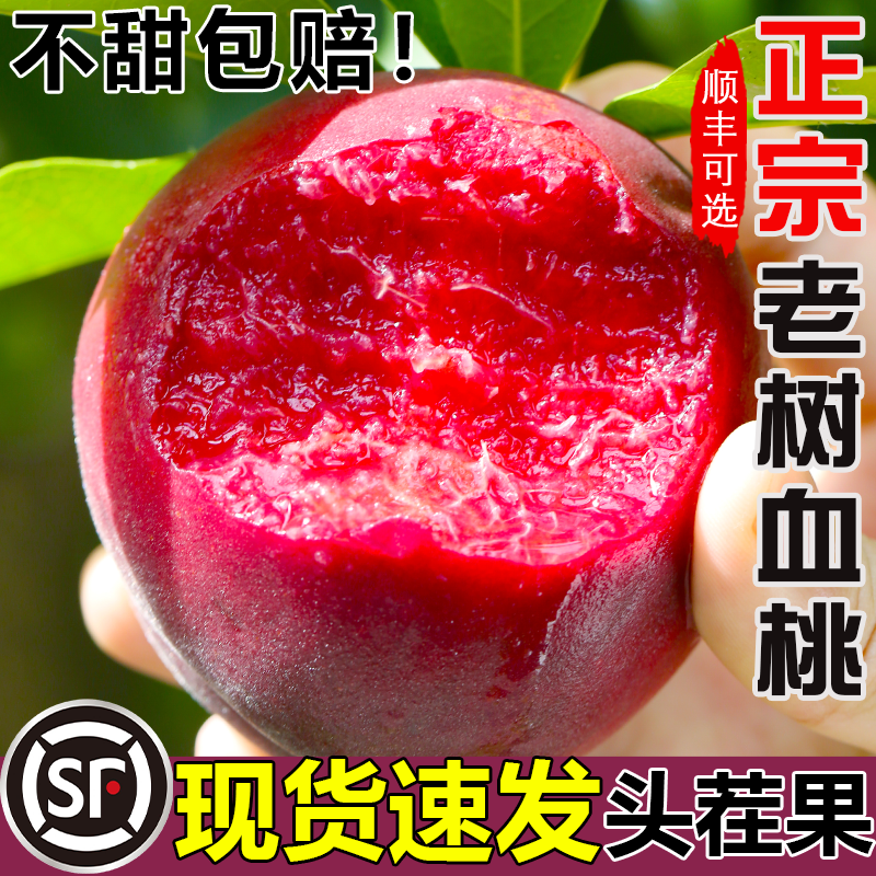 正宗老树血桃新鲜桃子5斤脆甜红肉当季头茬现摘红心农家水密毛桃